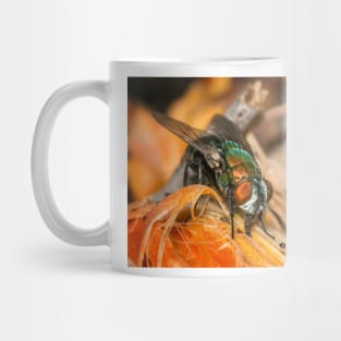 The Fly Mug